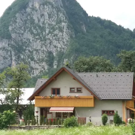 Apartment Apartma Bremec-studio