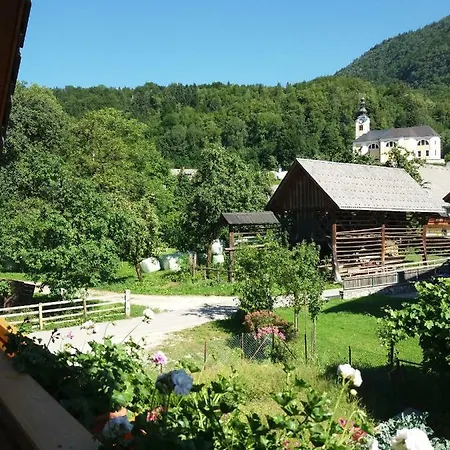 Apartma Bremec-studio *