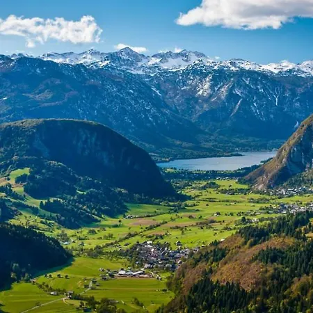 Apartman Apartma Bremec-studio *