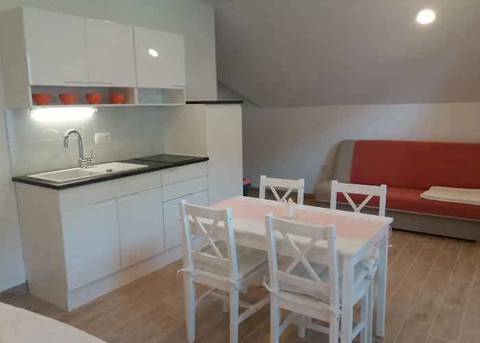 Apartma Bremec-studio דירה בוהין