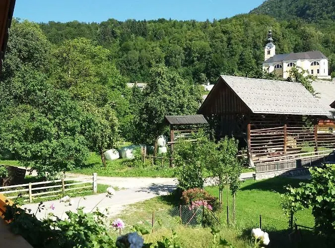 Apartma Bremec-studio *