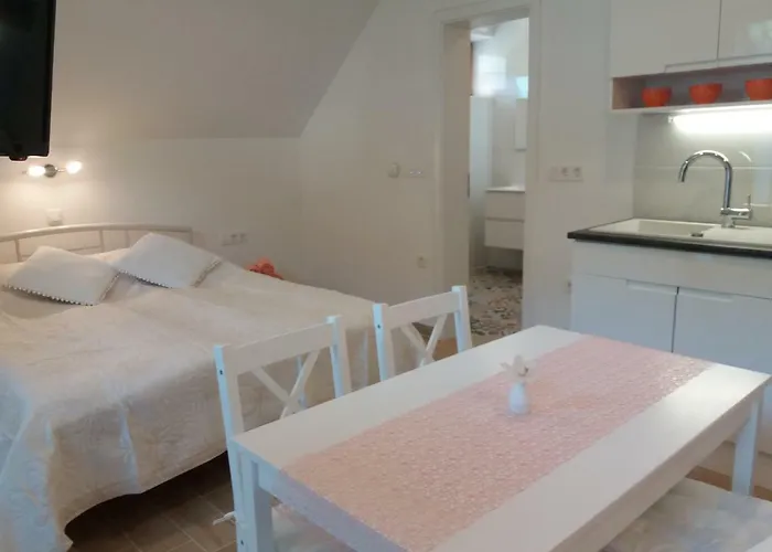 Apartma Bremec-studio בוהין