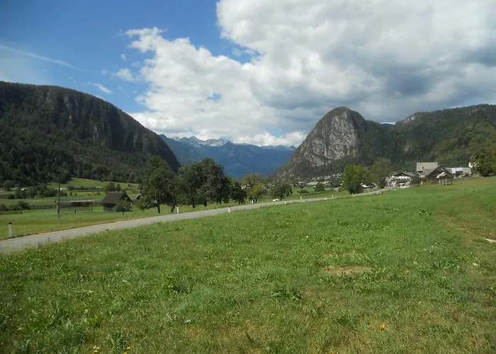 Apartma Bremec-studio דירה